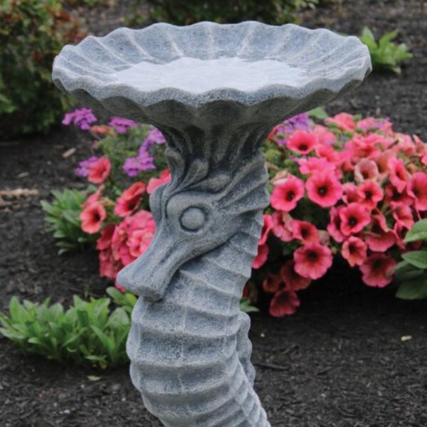 One-piece seahorse cement bird bath addition beach home decoration